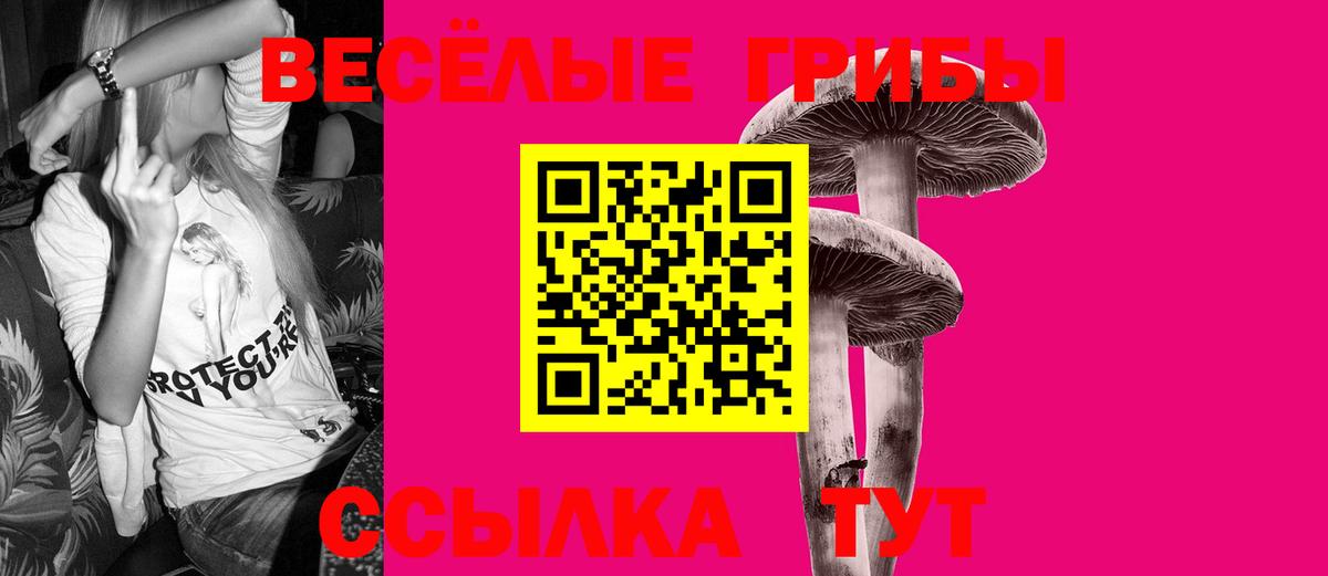 Псилоцибиновые грибы Magic Shrooms Прохладный